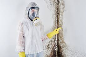  North Granby, CT Mold Removal & Remediation Pros